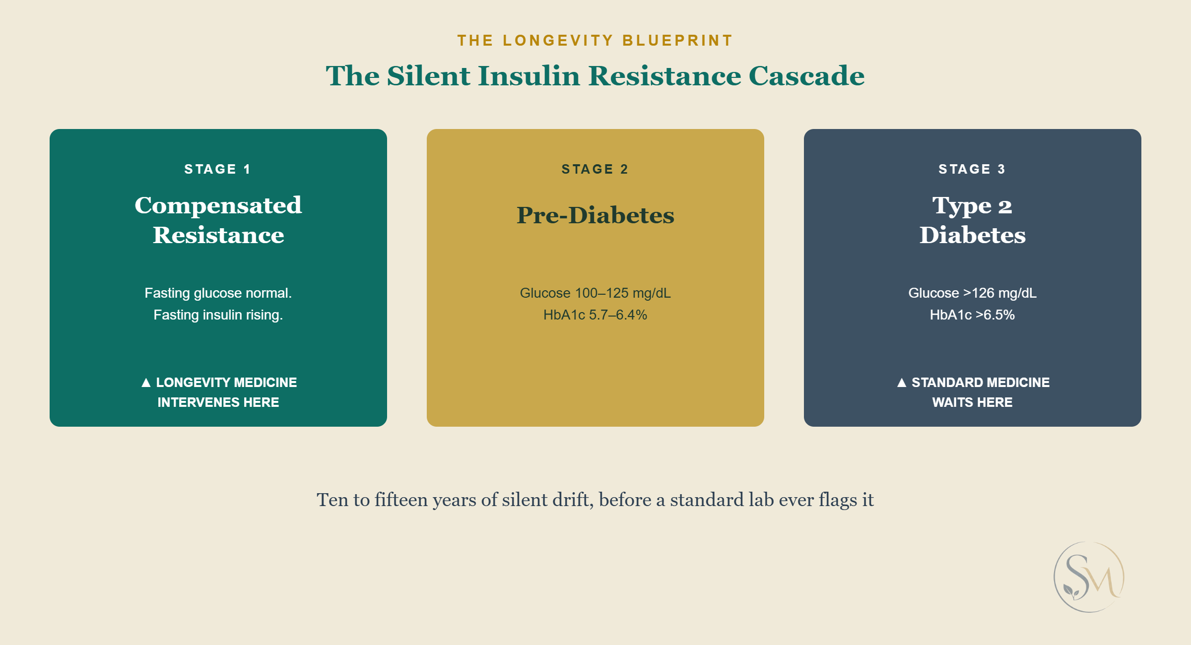 A three-stage diagram of the silent insulin resistance cascade: Compensated Resistance, Pre-Diabetes, and Type 2 Diabetes, showing where longevity medicine intervenes versus where standard medicine waits.