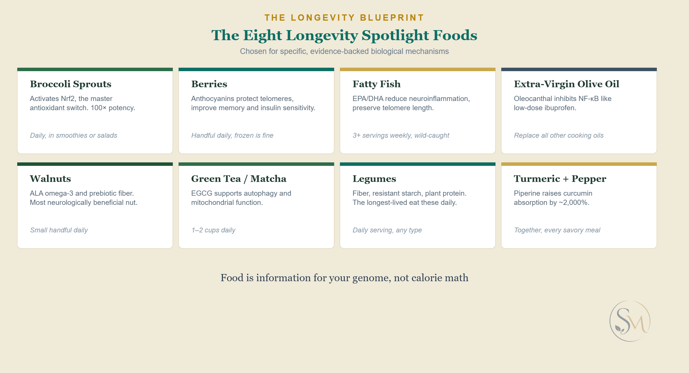 A grid of the eight longevity spotlight foods: broccoli sprouts, berries, fatty fish, extra-virgin olive oil, walnuts, green tea, legumes, and turmeric with pepper, each with its biological mechanism.